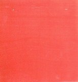 Studio strokes colour coral reef